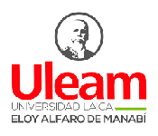 ULEAM logo